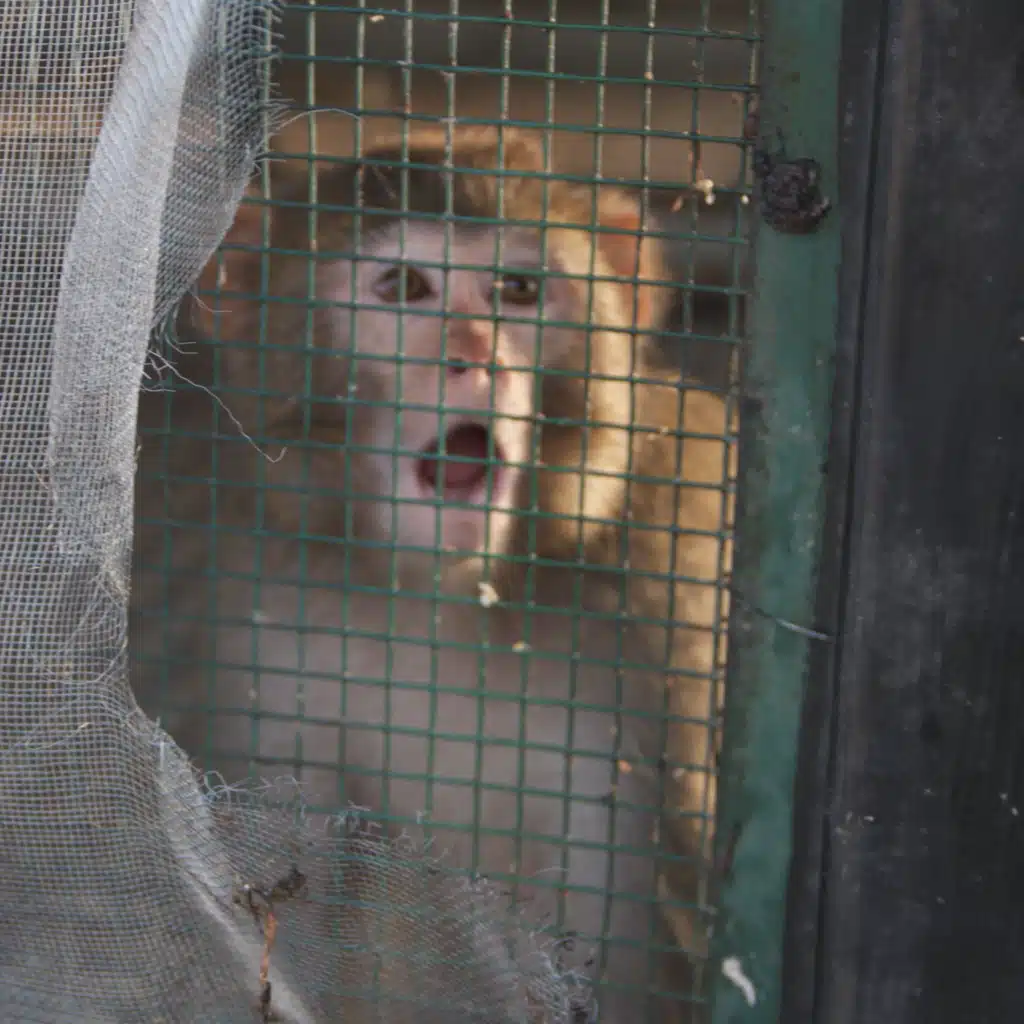 Fia kel chi hal playlist