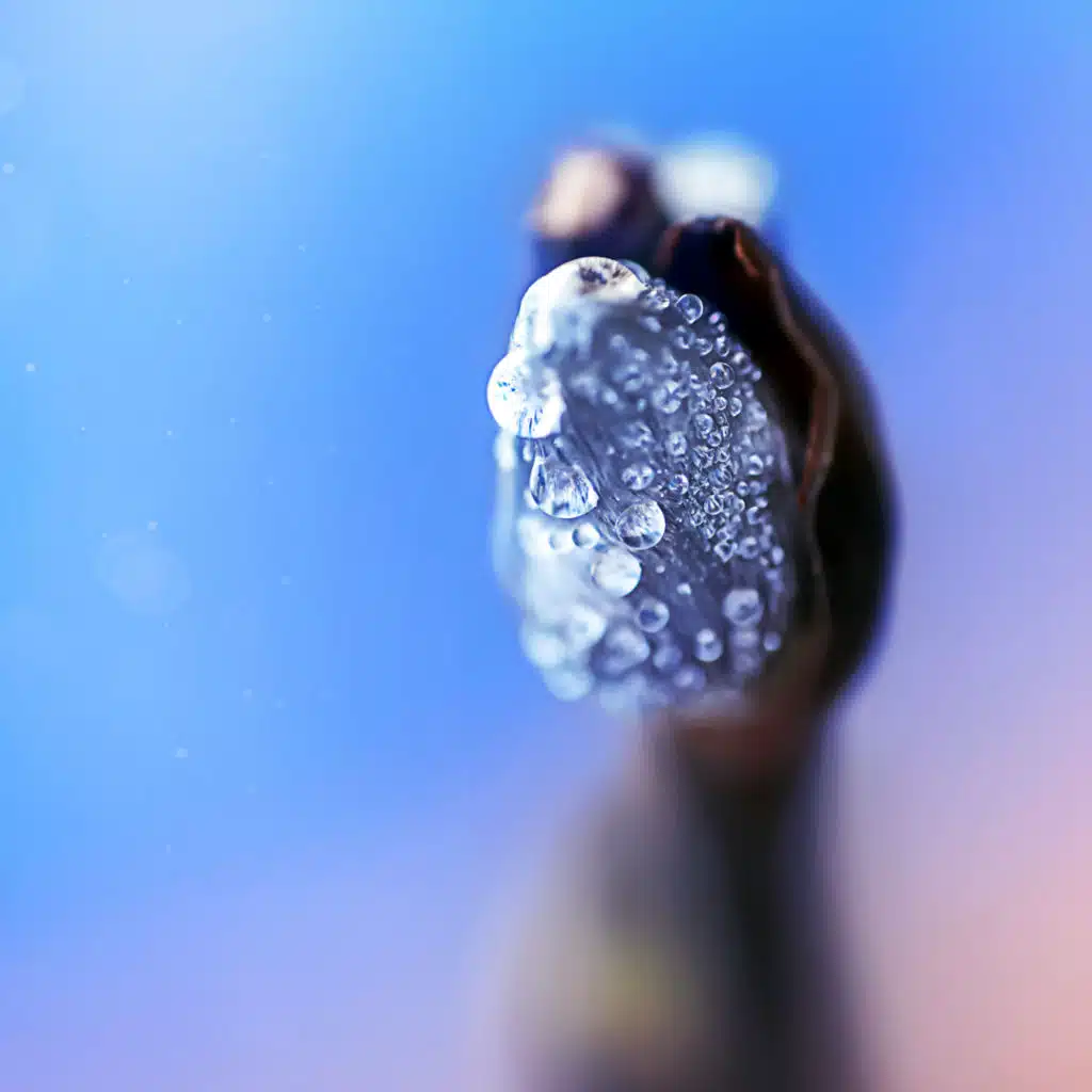 Cold Water