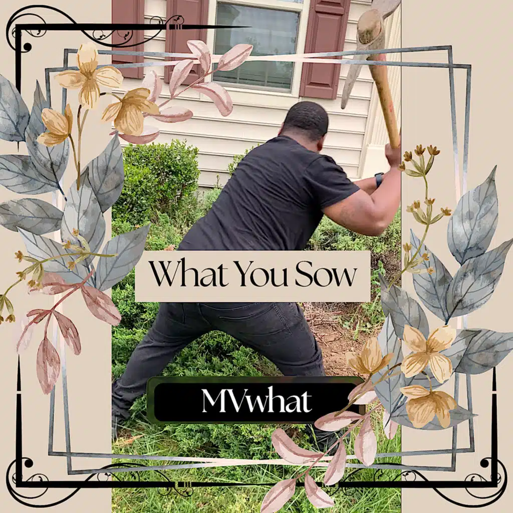 MVwhat