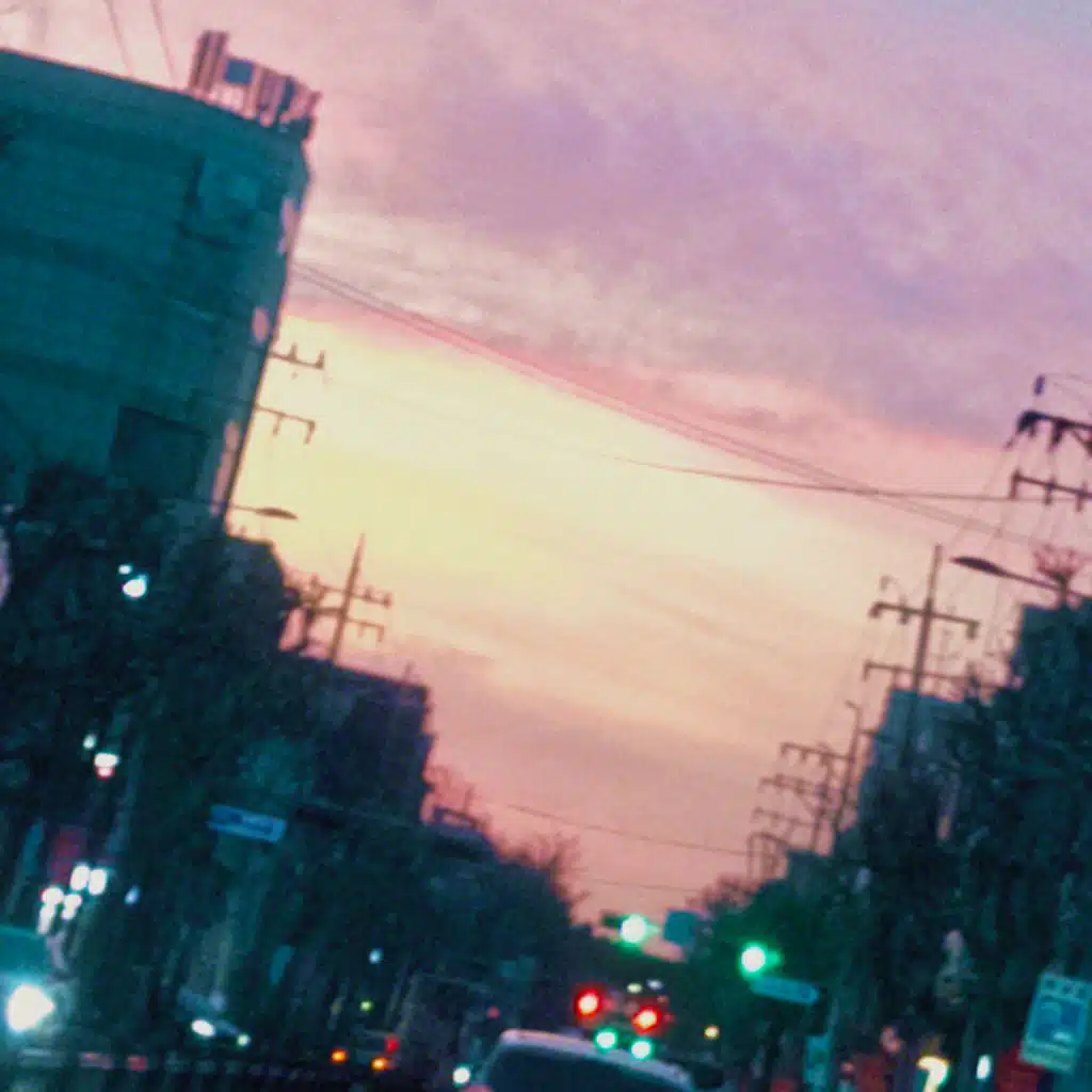 LIPNINE