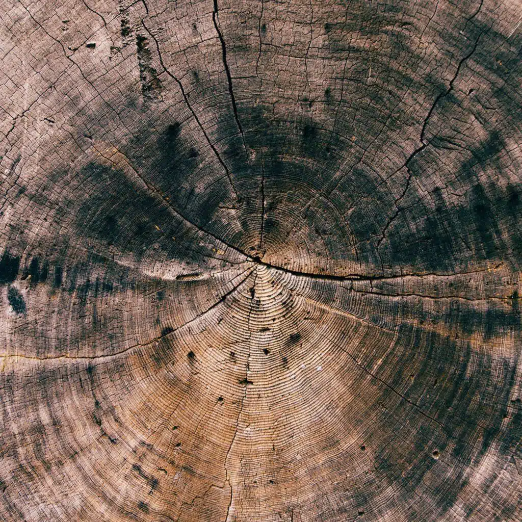 Preaching Legalists Out Of Church