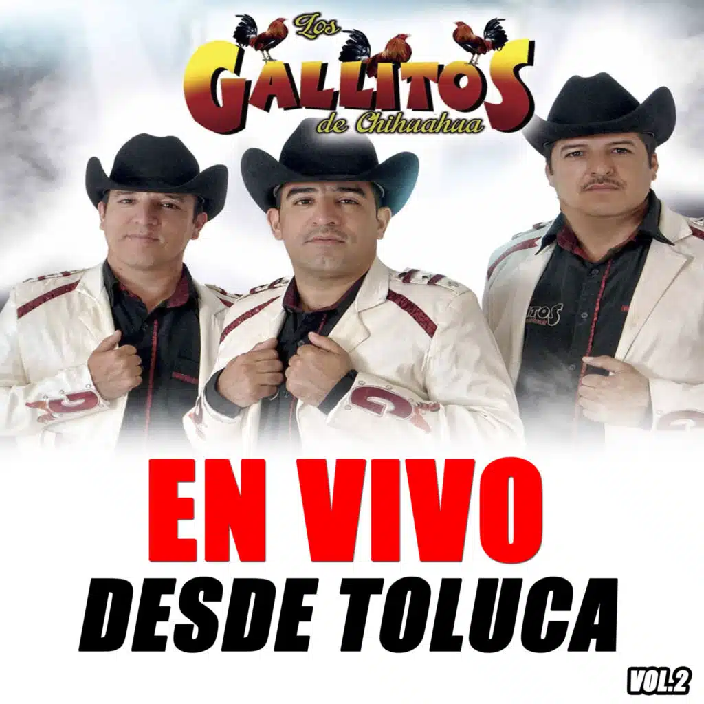 En Vivo Desde Toluca, Vol. 2