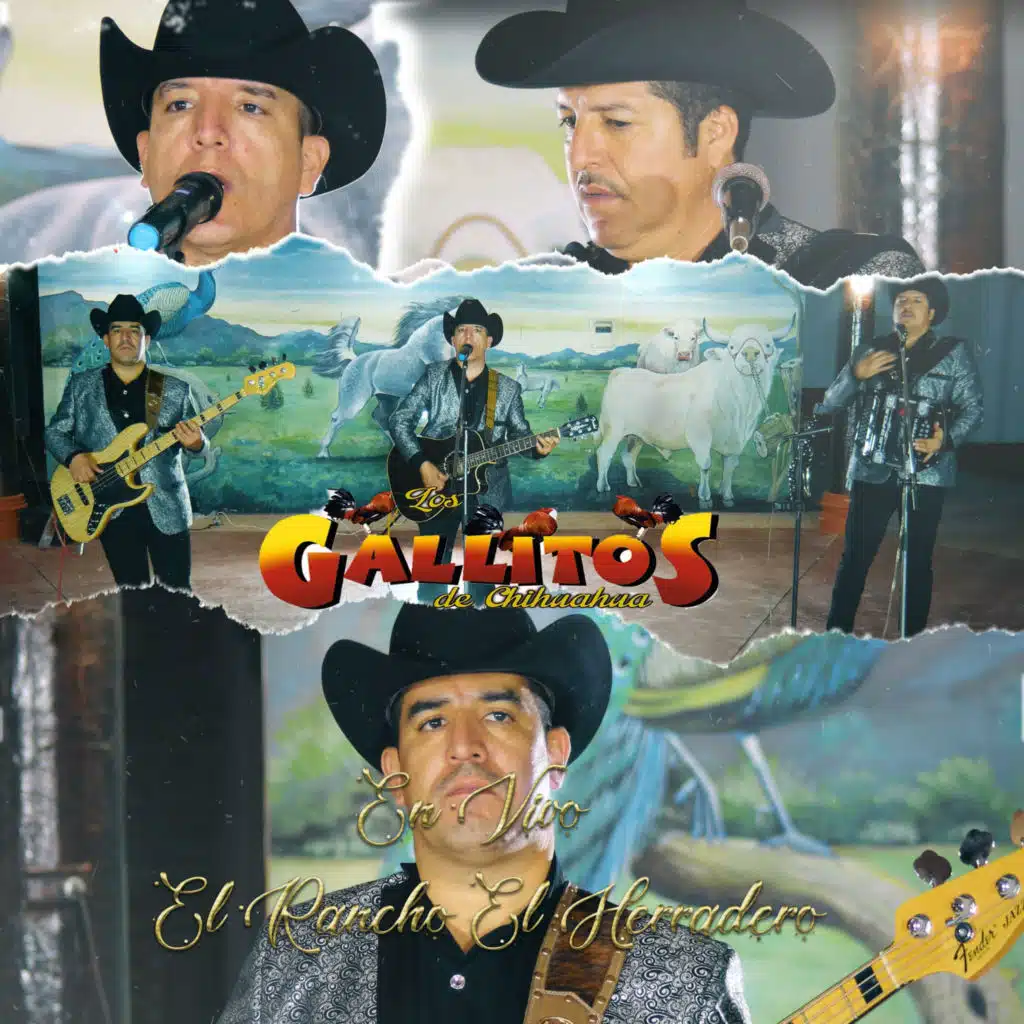 Hazlo por Mi Corazon (En Vivo)