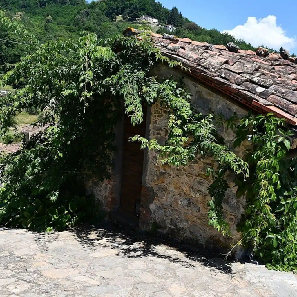 Suite Gromignana