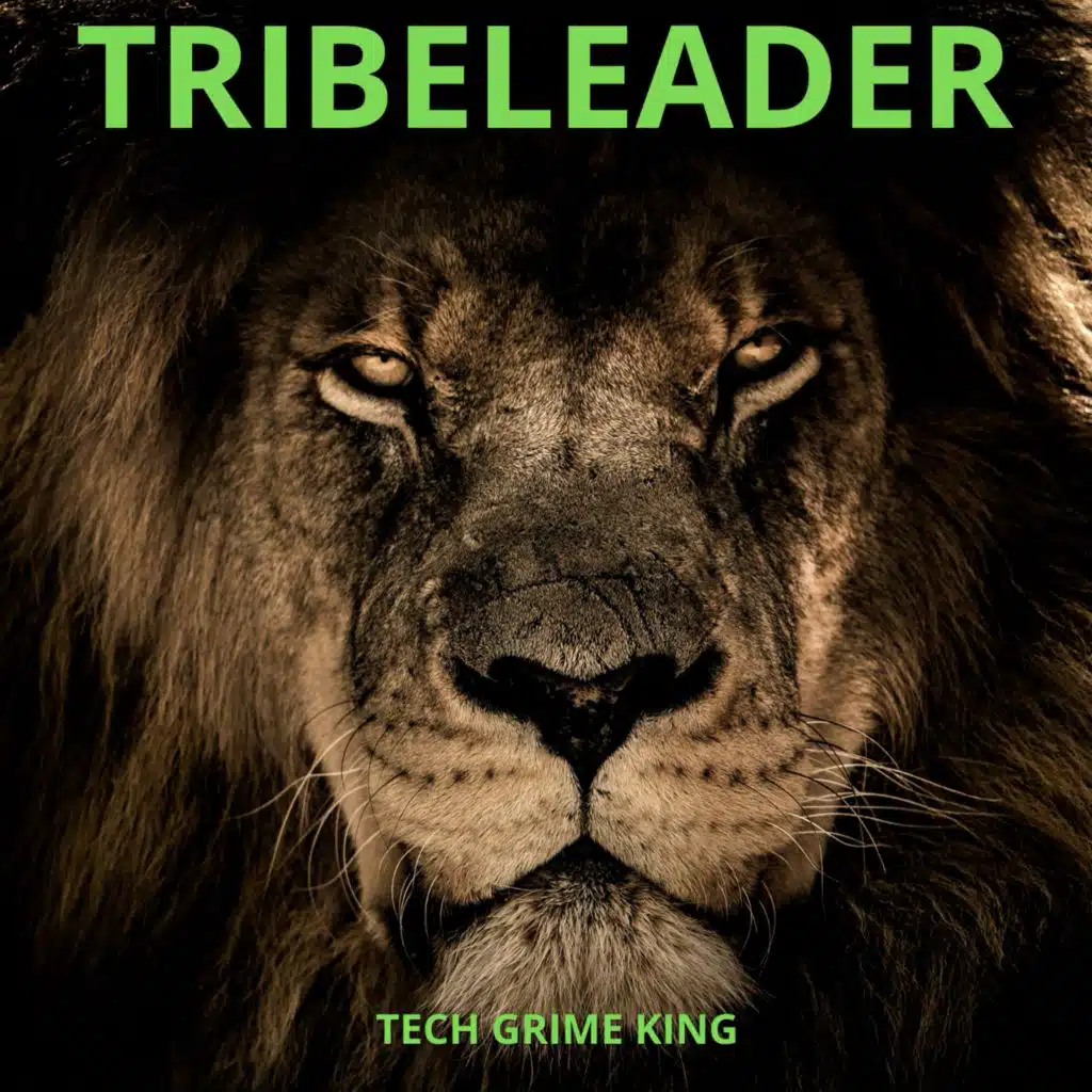 TECH GRIME KING