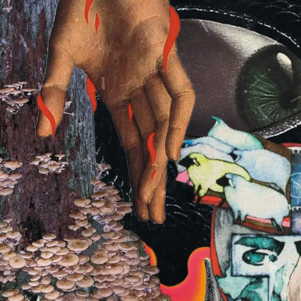 Asbest & Hallimasch