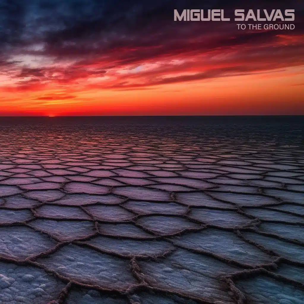 Miguel Salvas