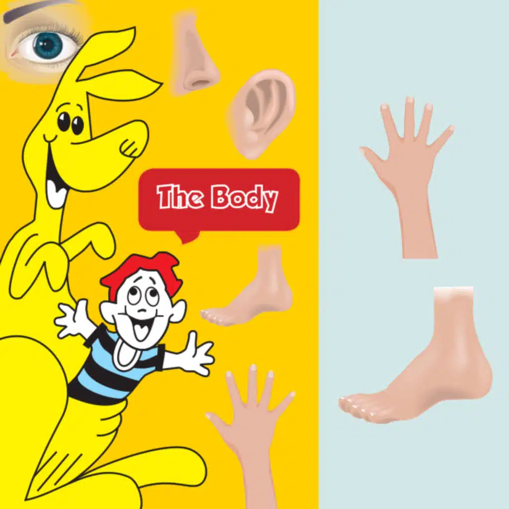 The Body