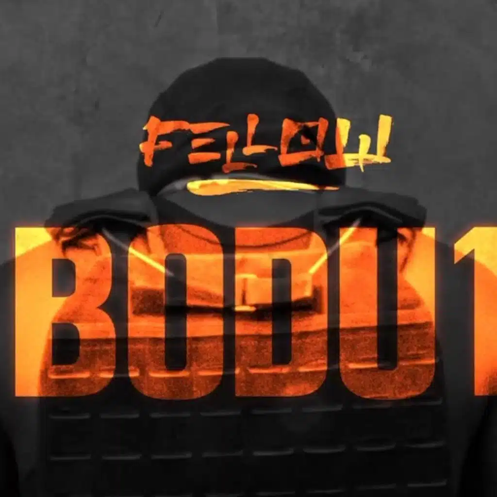 FELLOW