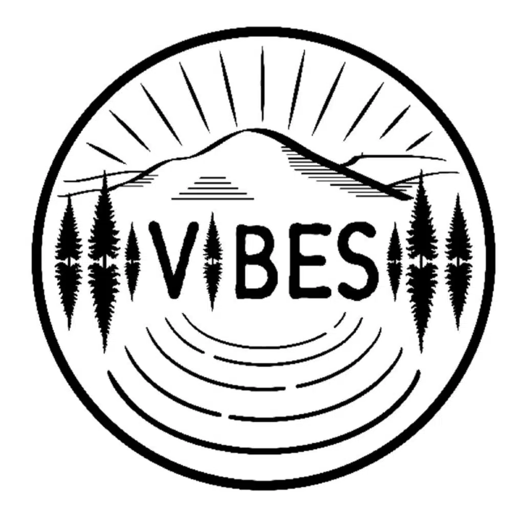 VIBES