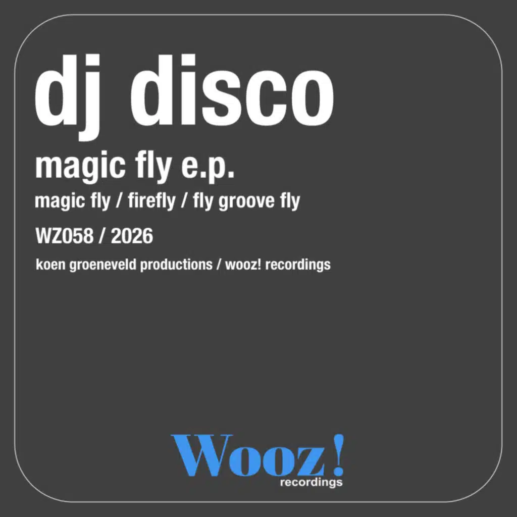 DJ Disco (NL)