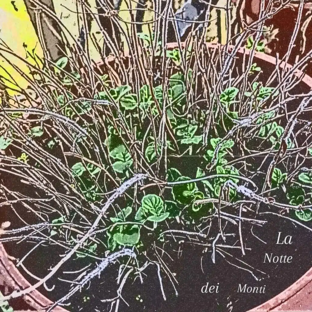 La notte dei monti