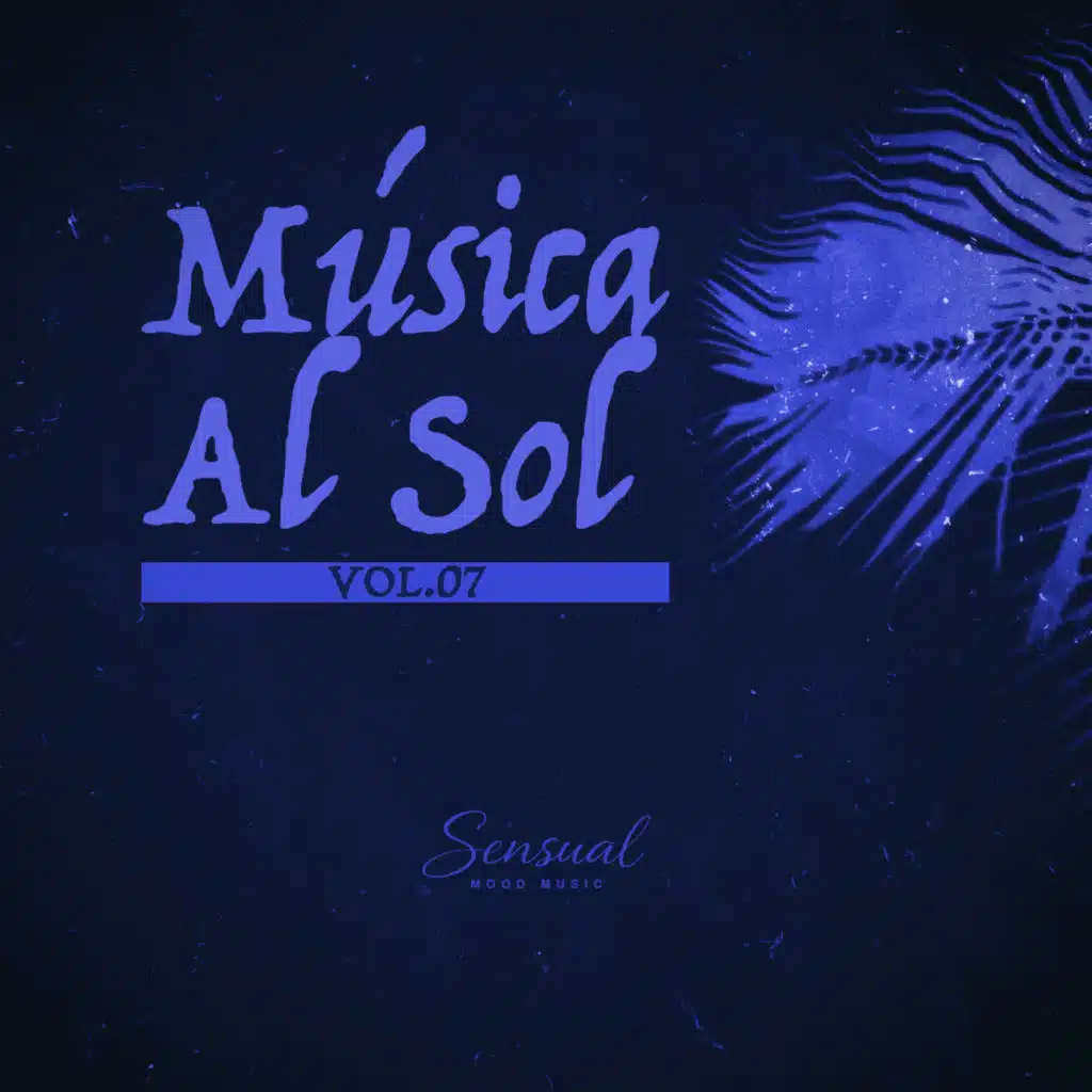 Música al Sol, Vol.07
