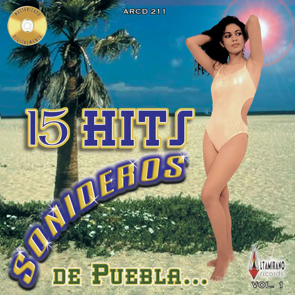 15 Hits Sonideros de Puebla, Vol. 1