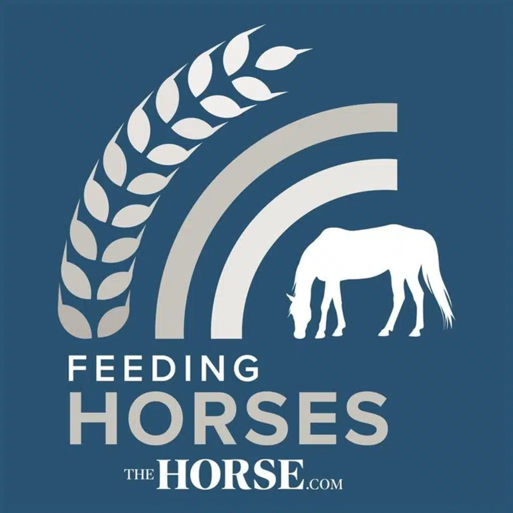 Feeding Horses 1: Nutrition Tips for a Seamless Transition Into Spring