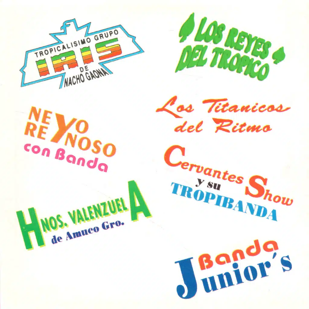 15 Mejores Exitos Con La Bandas Discos Del Balsas