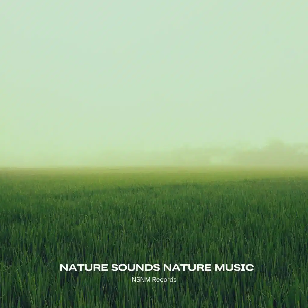 Nature Sounds Nature Music