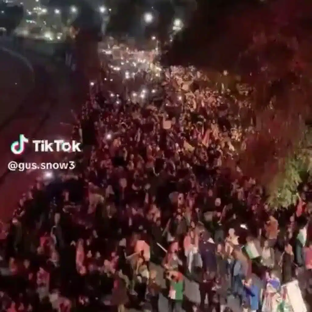 Argentines and Chileans Take To The Streets to Protest Israeli Land Grab Through Forest Fires