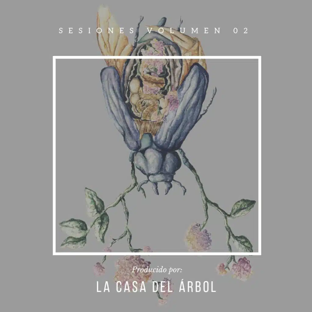 Sesiones en la Casa, Vol. 2