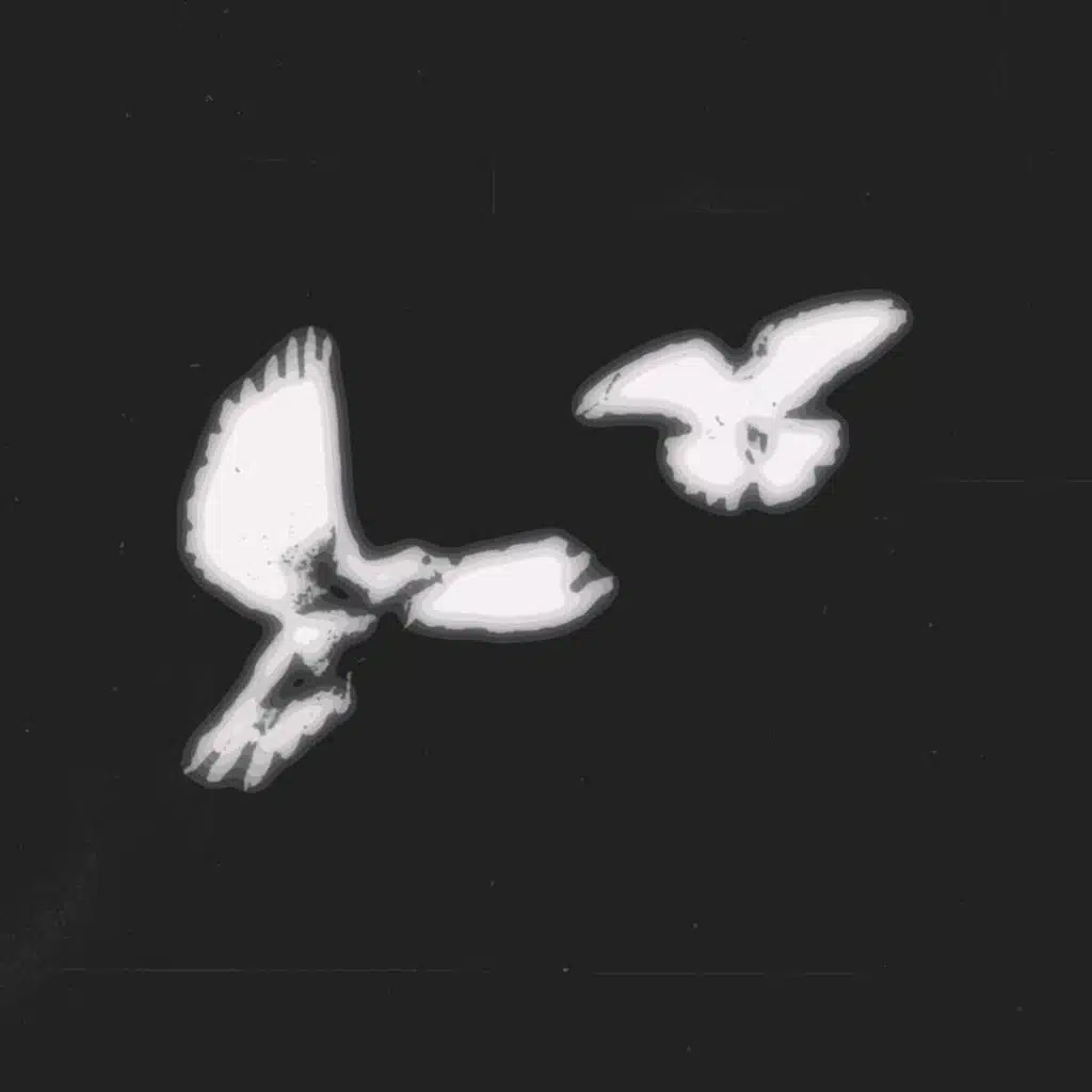 Lockjaw (Love birds)