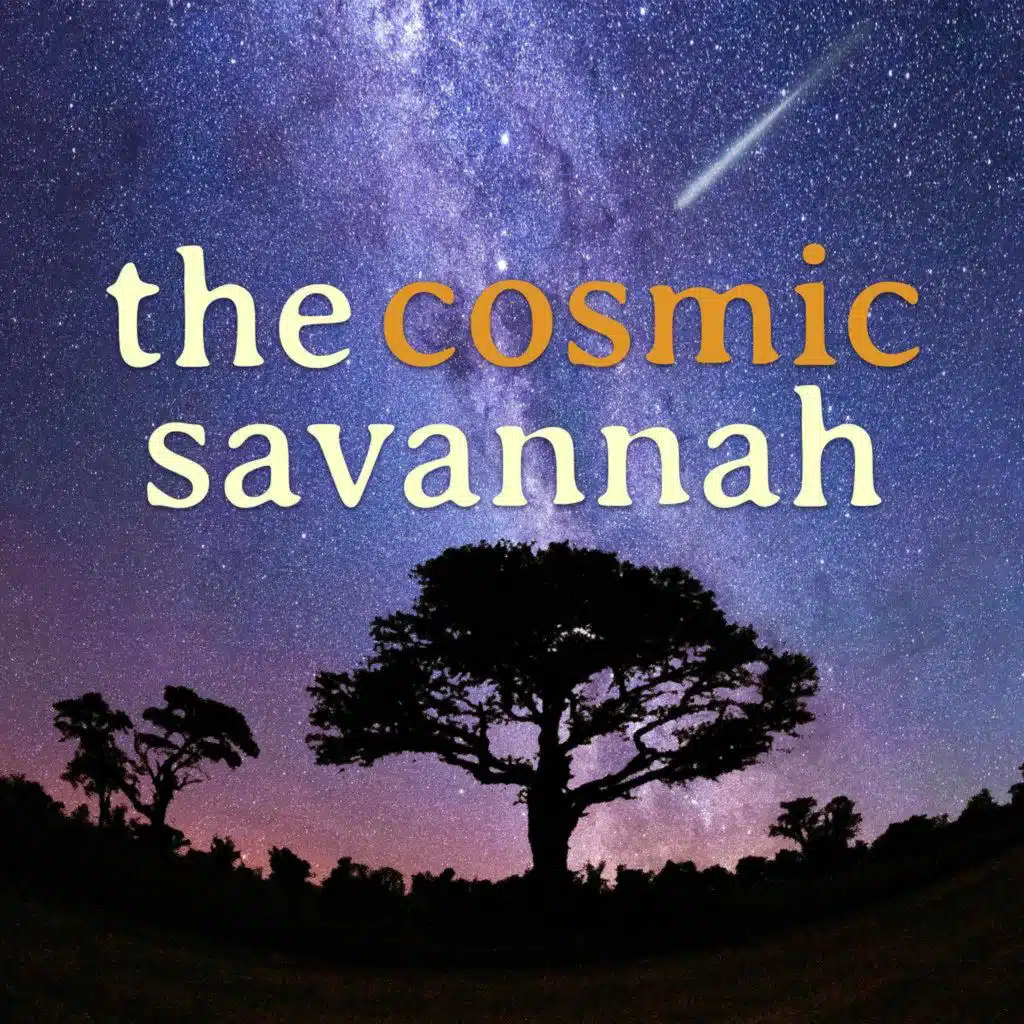 The Cosmic Savannah - Ep. 80 The MIGHTEE MeerKAT's View of the Universe