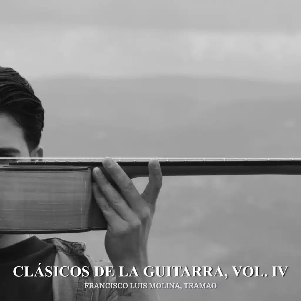 Clásicos de la Guitarra, Vol. IV