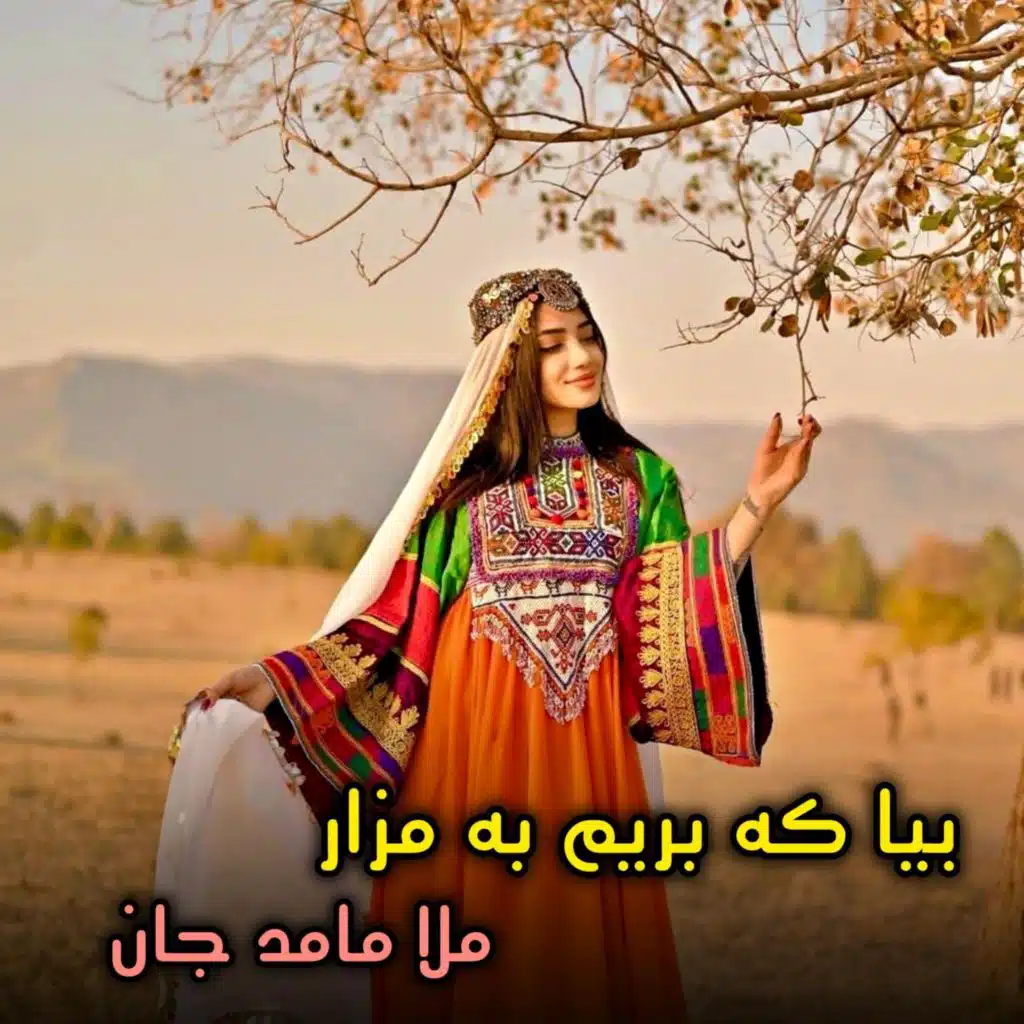 آهنگ آرام تیت بیا که بریم به مزار ملا مامد جان