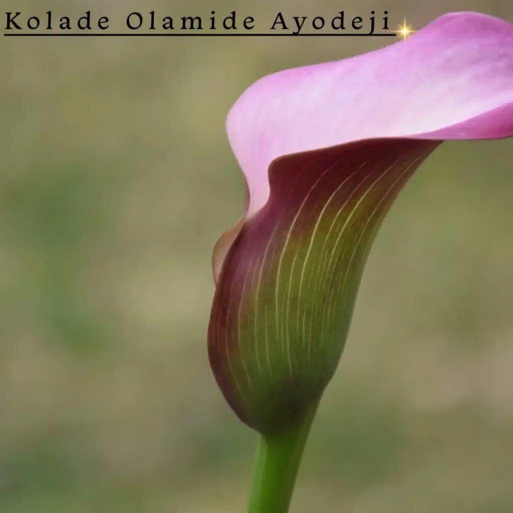 Kolade Olamide Ayodeji