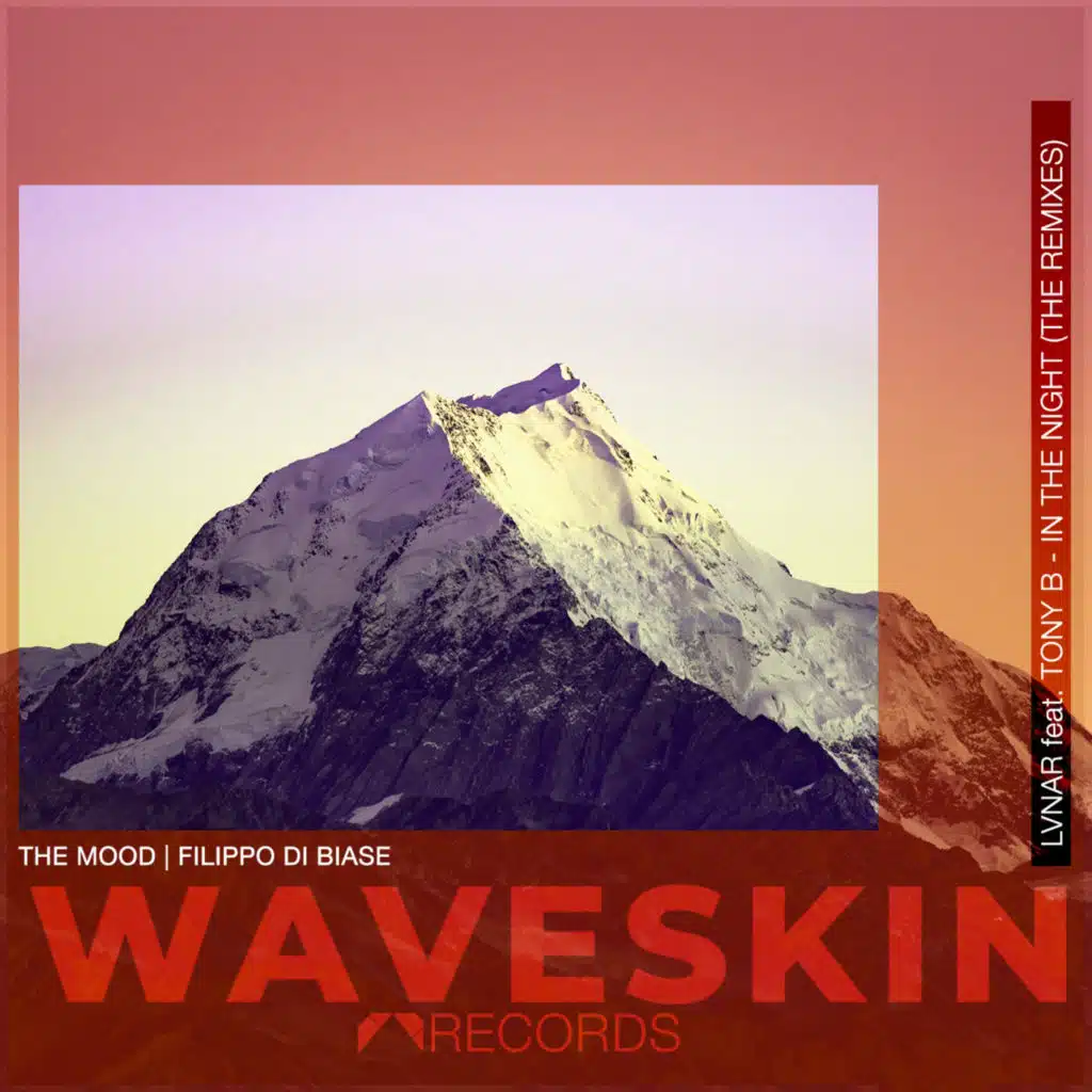 In the Night (feat. Tony B)