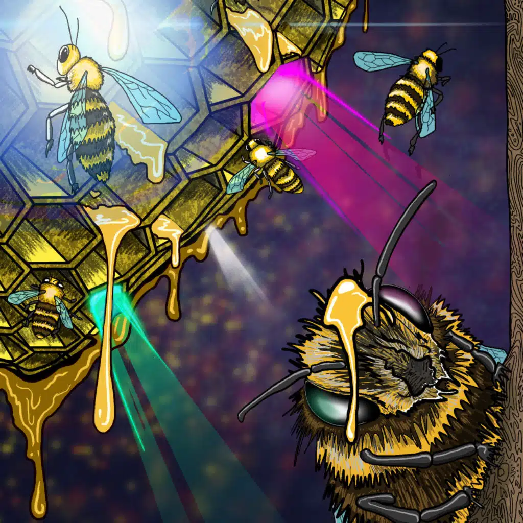 Live at Cervantes Otherside (01/17/2026)