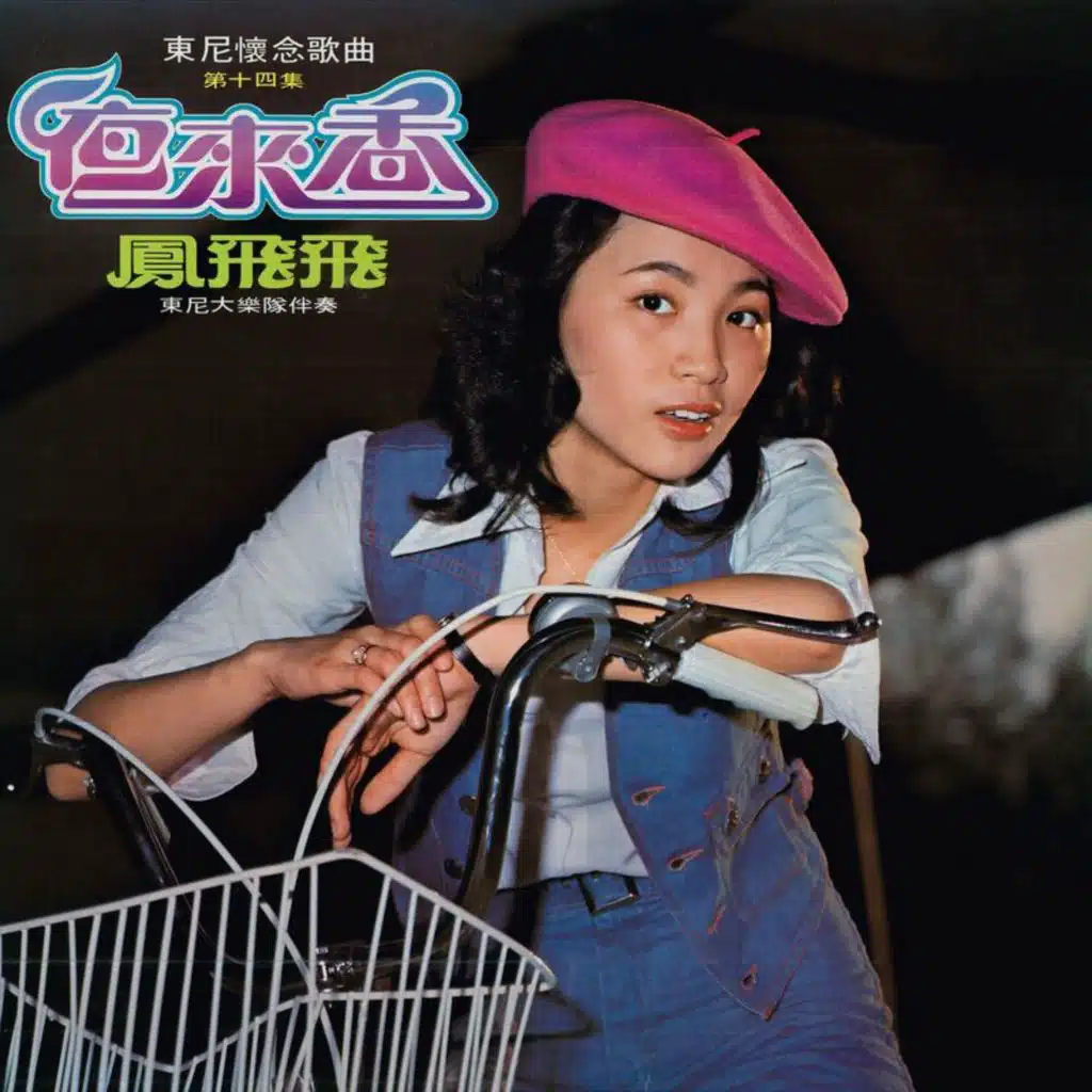 凤飞飞 & 东尼大乐队