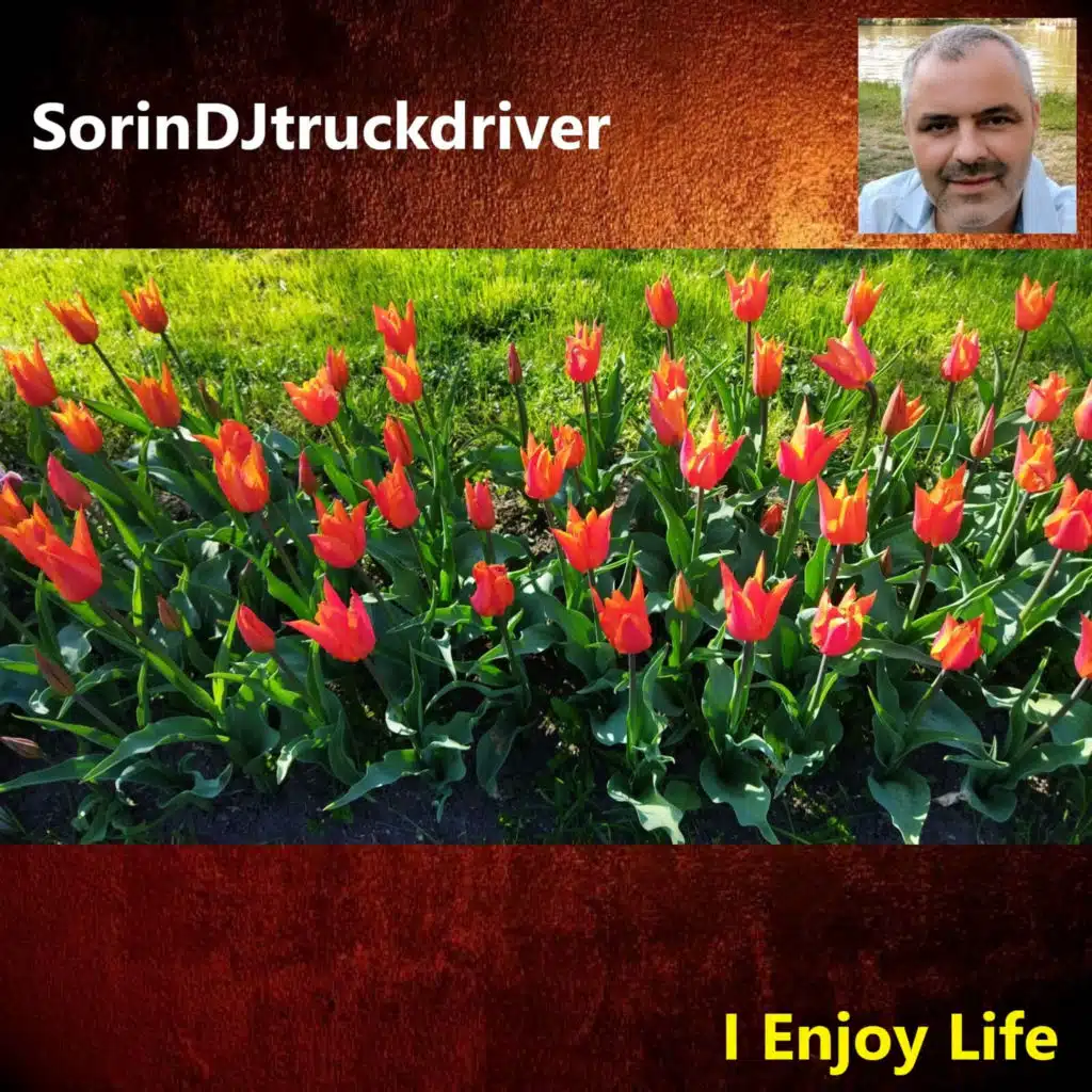 SorinDJtruckdriver