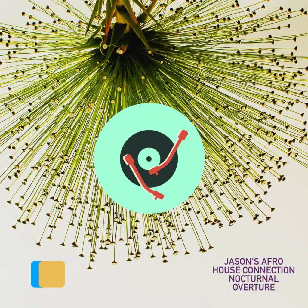 Jason's Afro House Connection
