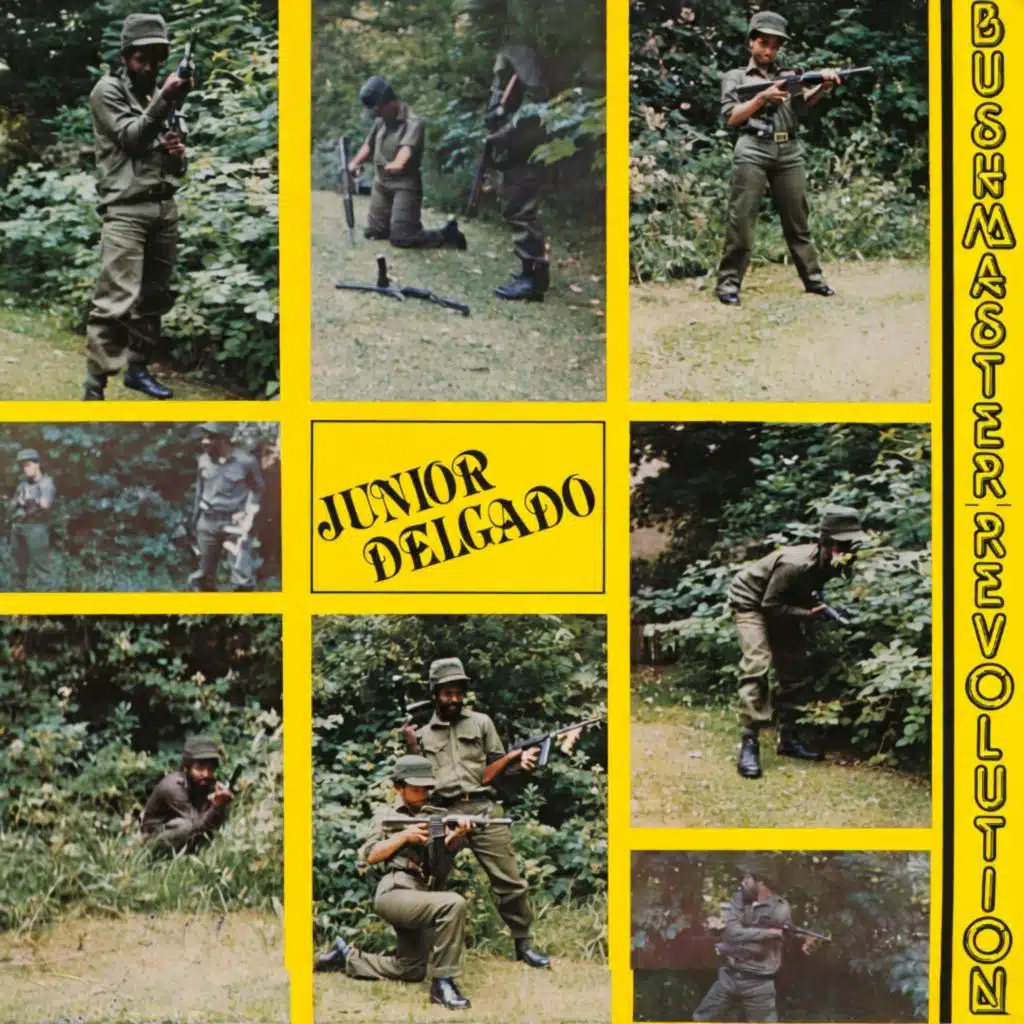 Bushmaster revolution