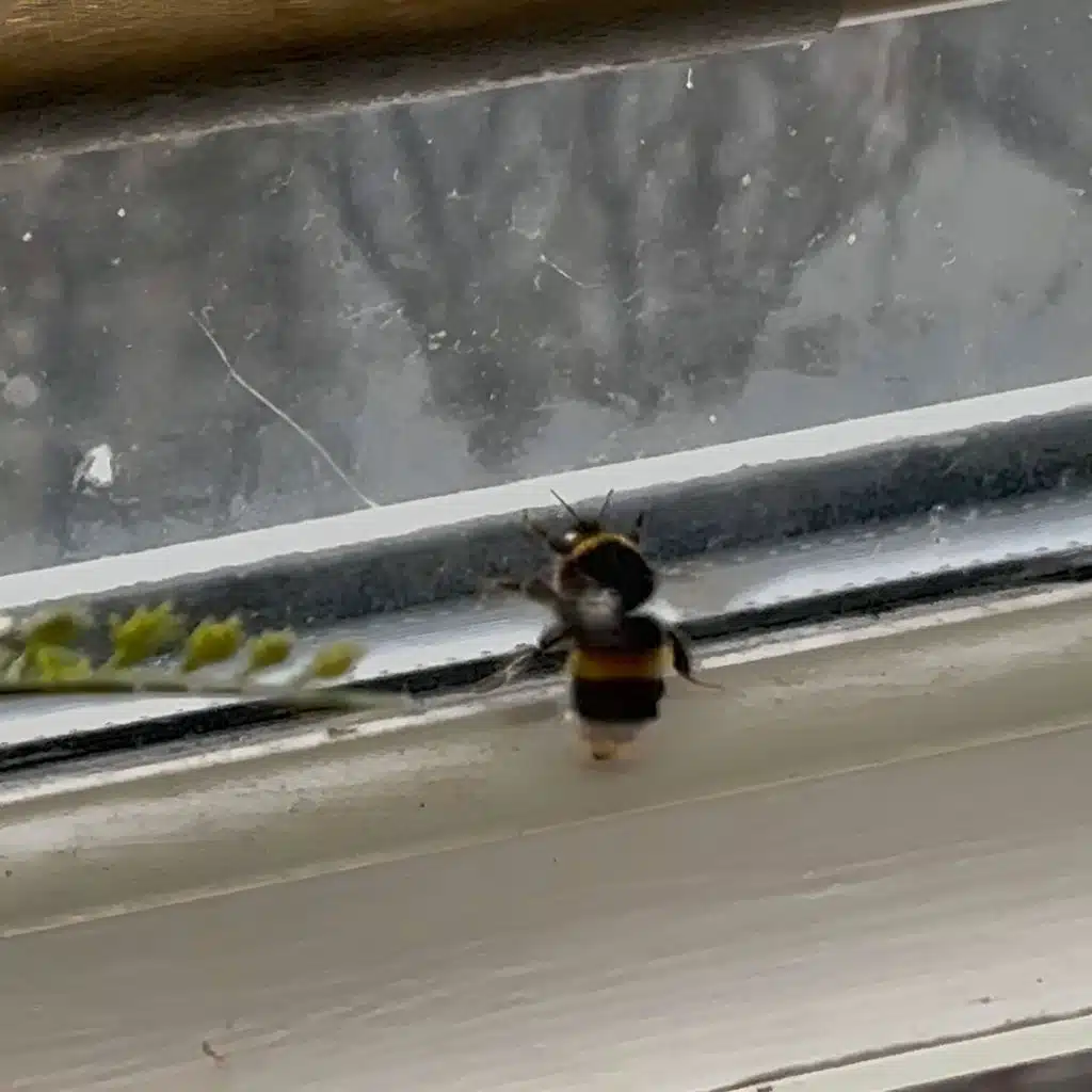 you're not actually trapped (demos)