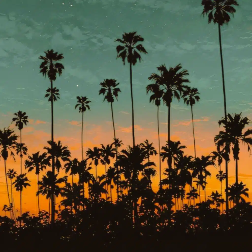 Midnight Under Palms (Slowed)