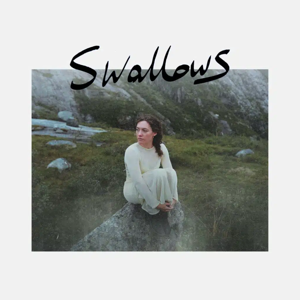Swallows
