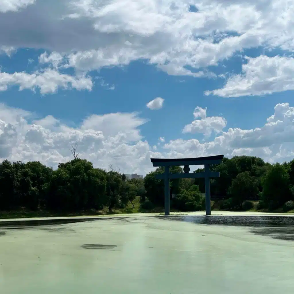 hidamari