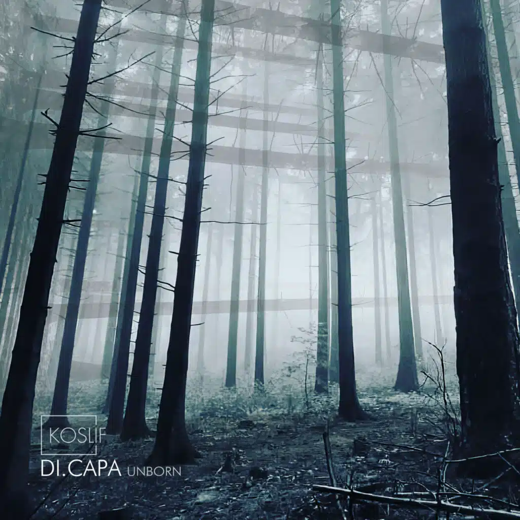 DI.CAPA