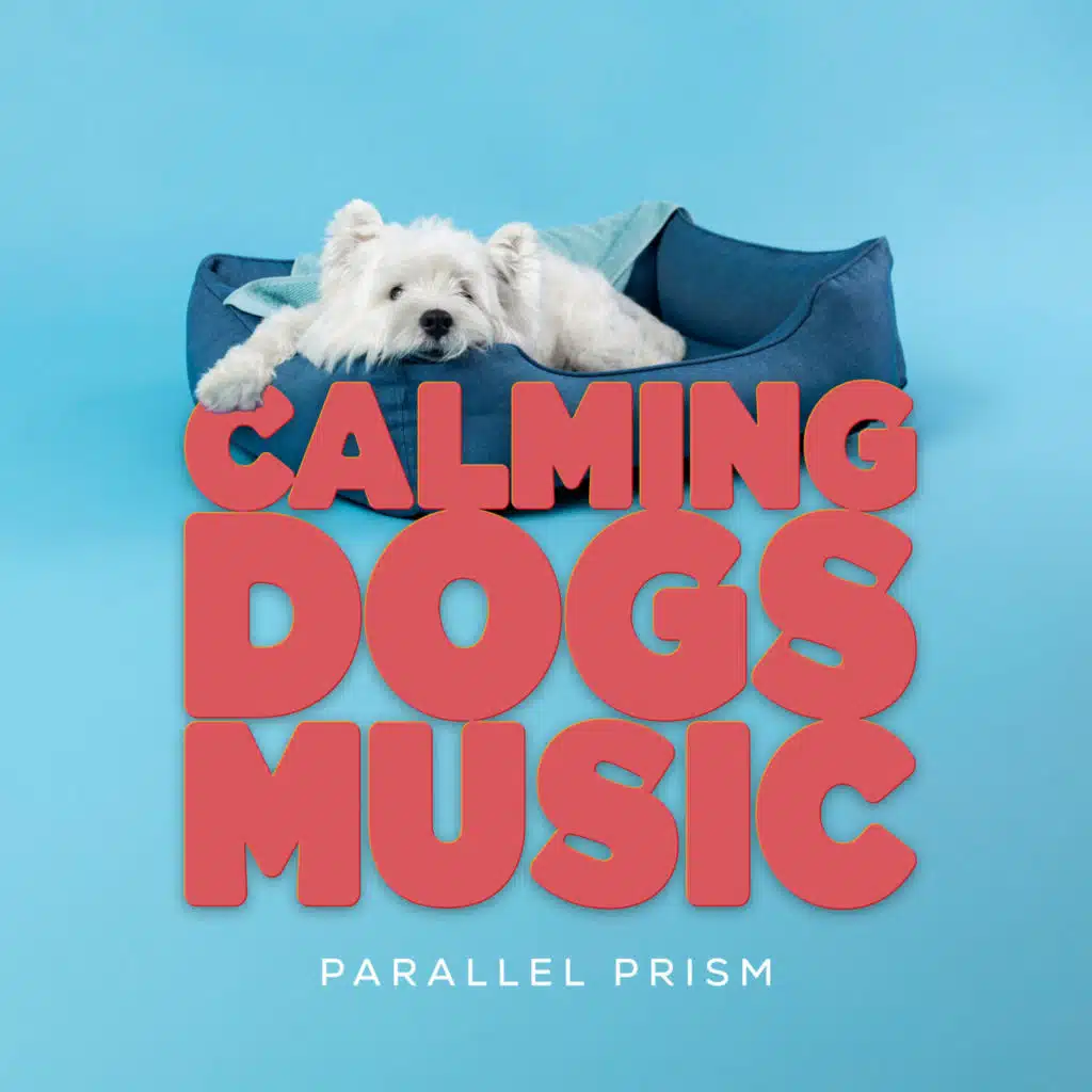 Calming Dogs Music