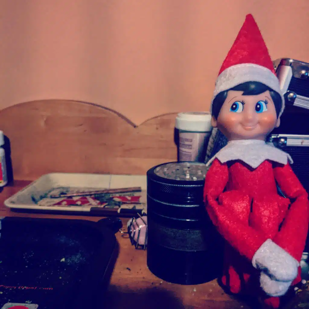 The Elf in His Bag Tape II