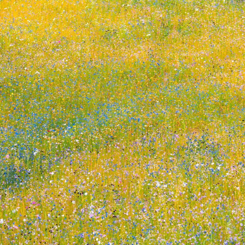 Exciting Spring (feat. Eunbyeol)