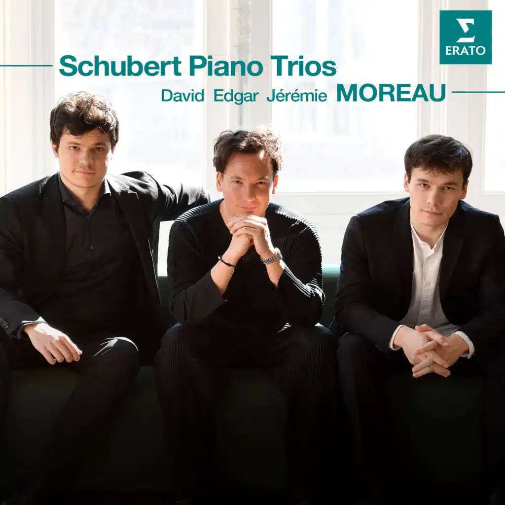Piano Trio No. 2 in E-Flat Major, Op. 100, D. 929: II. (a) Andante con moto