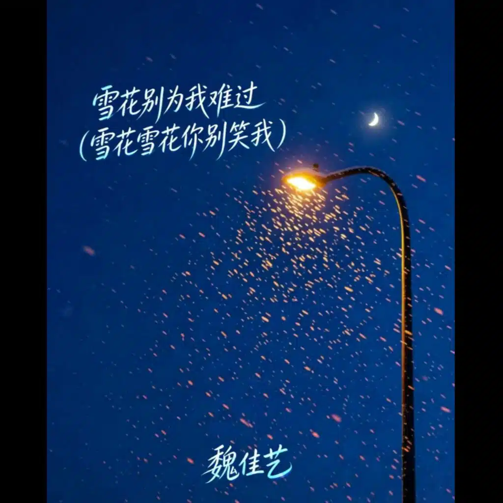 魏佳艺