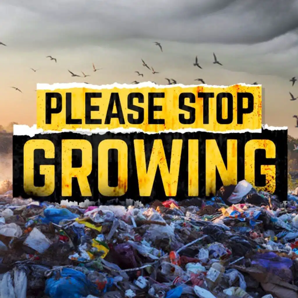 Is Degrowth the Only Answer?