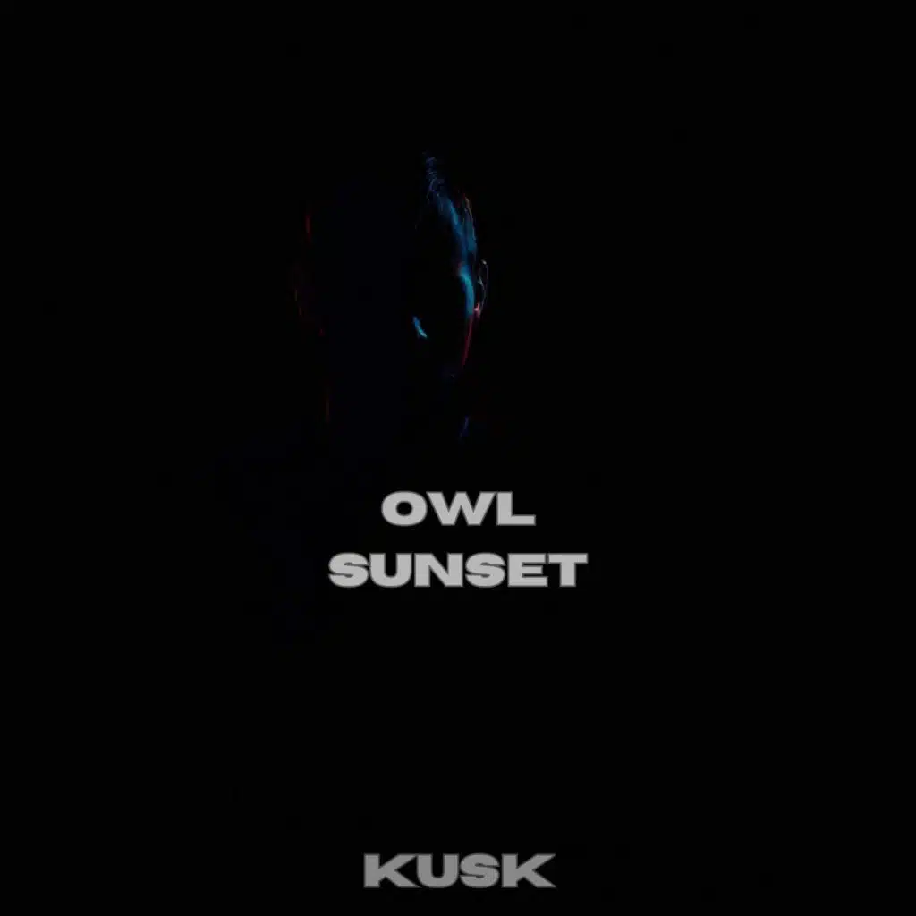 OWL SUNSET