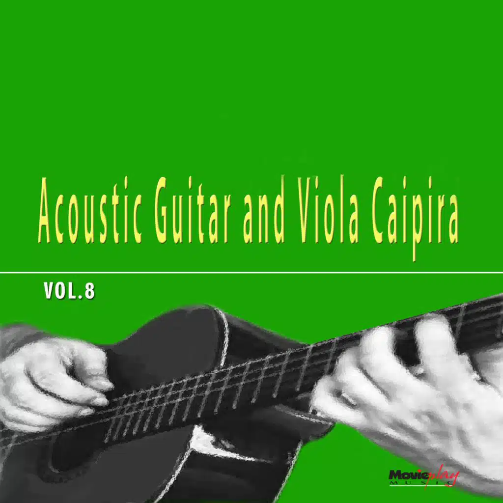 Acoustic Guitar & Viola Caipira, Vol. 8