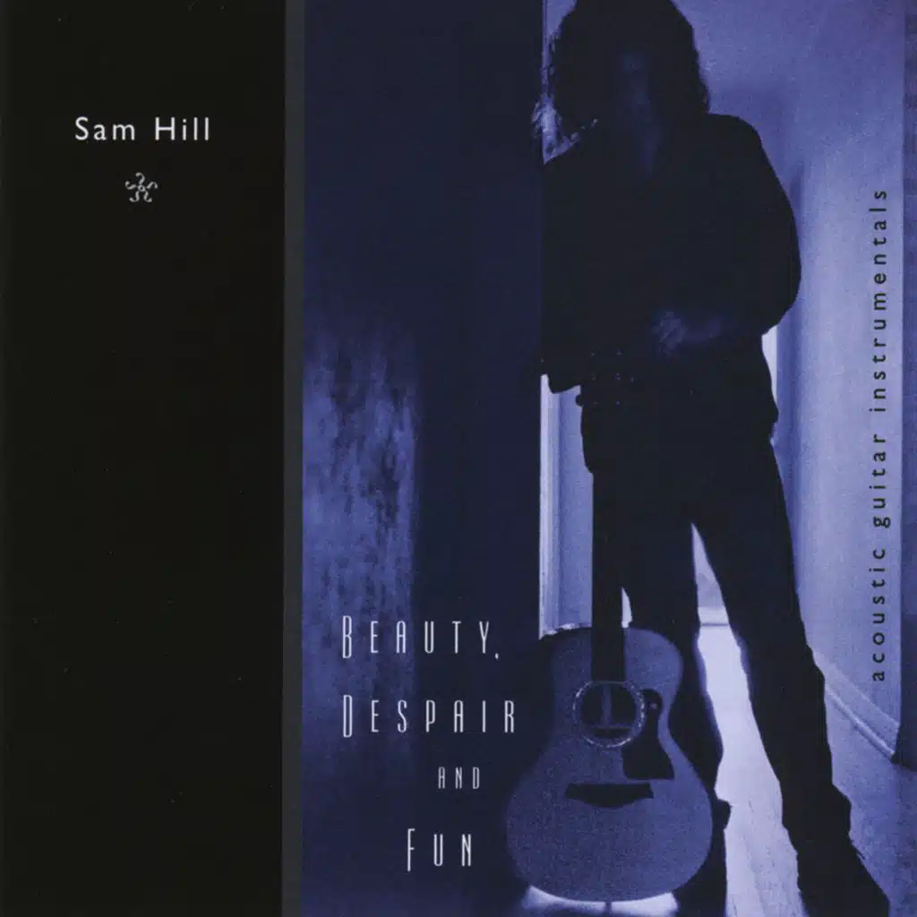 Beauty, Despair and Fun (Acoustic Guitar Instrumentals)