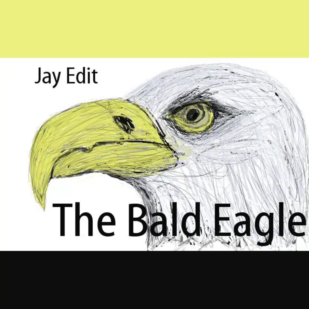 The Bald Eagle