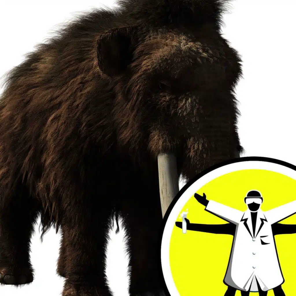 Nature frozen in time